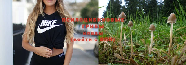стафф Балабаново